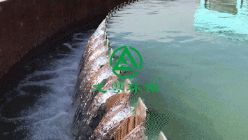 處理后的泥餅干堆效果圖